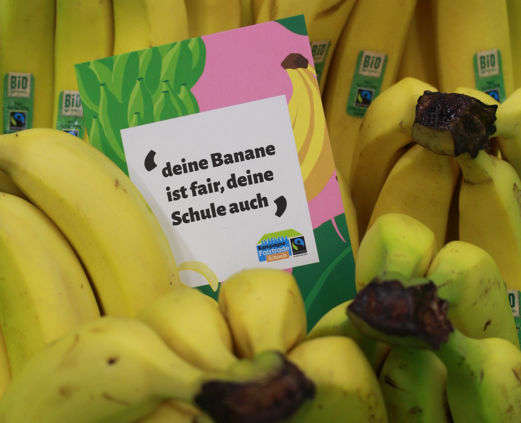 Das Bild zeigt Bananen mit dem 